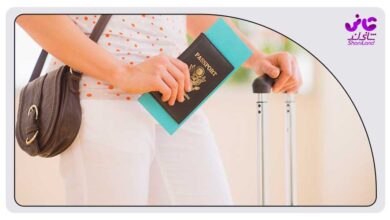 کیف پاسپورتی زنانه کادویی
