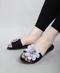 طوسی