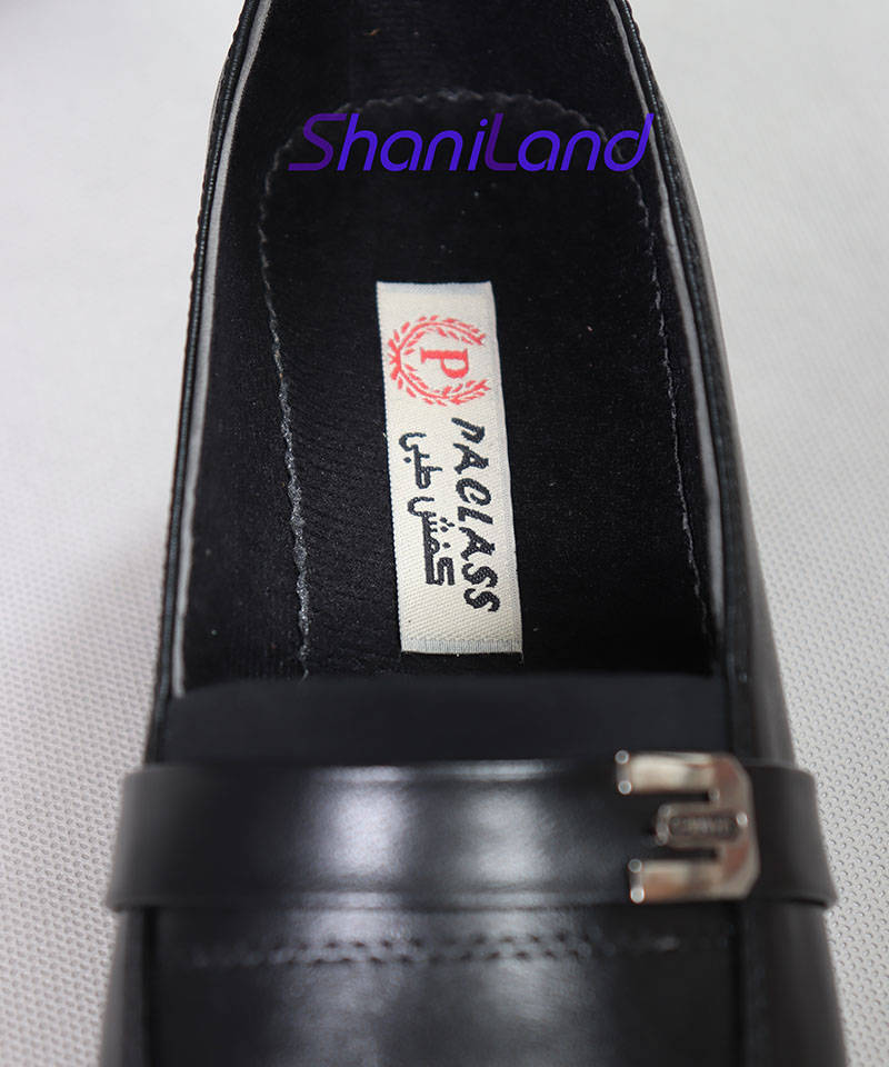 کالج طبی لژدار کد 23479