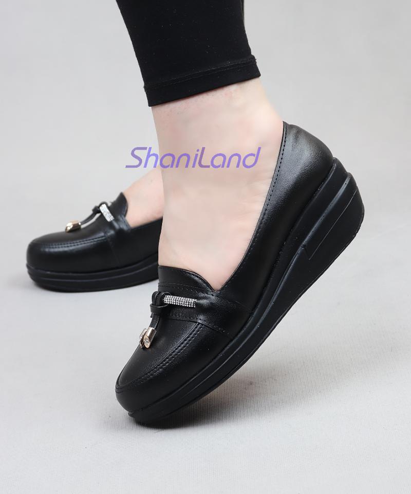 کالج لژدار زیره طبی کد 23509