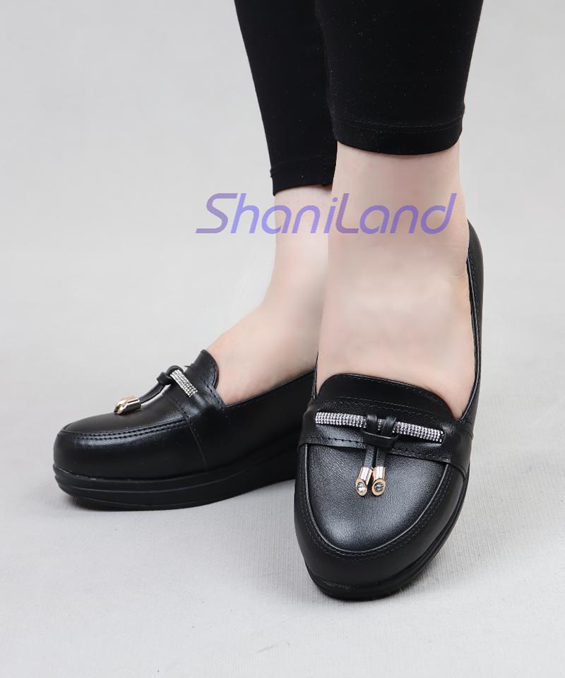 کالج لژدار زیره طبی کد 23509