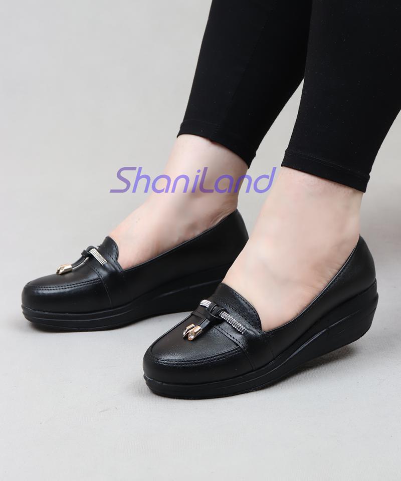 کالج لژدار زیره طبی کد 23509