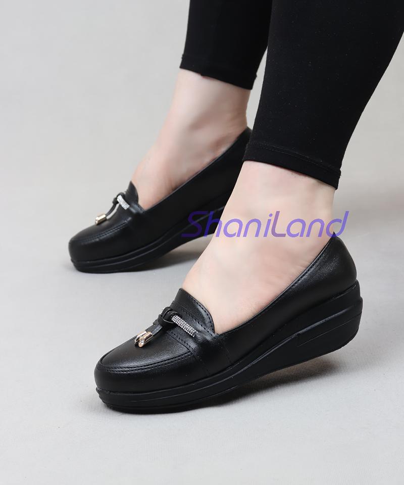 کالج لژدار زیره طبی کد 23509
